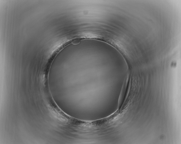 X0000094210351200711021121