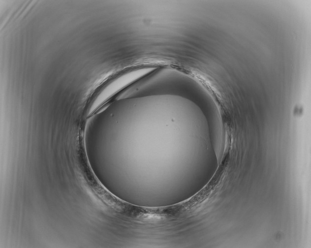 X0000094210352200711021121