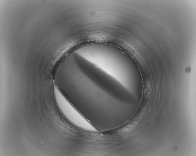 X0000094210355200711021121