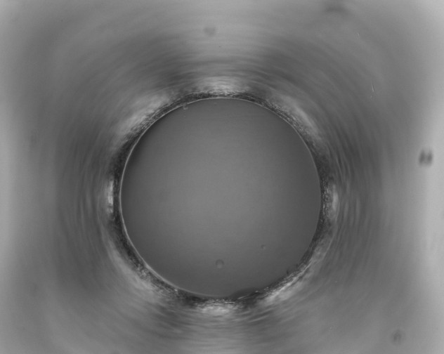 X0000094210358200711021121