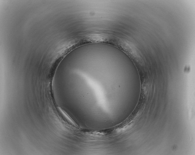 X0000094210359200711021121