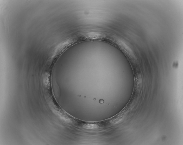 X0000094210361200711021121