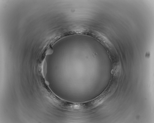 X0000094210365200711021121