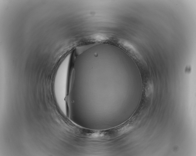 X0000094210366200711021121