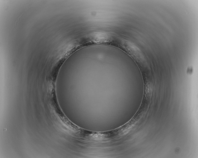 X0000094210367200711021121