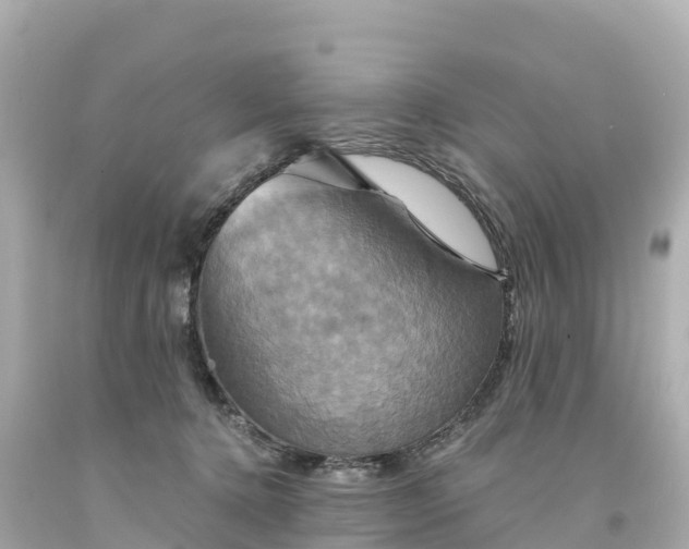 X0000094210368200711021121