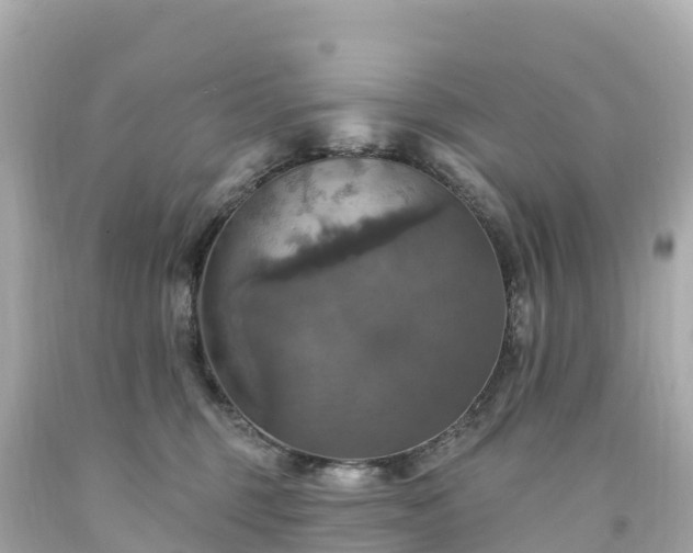 X0000094210375200711021121