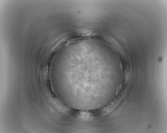 X0000094210376200711021121