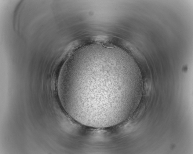 X0000094210379200711021121