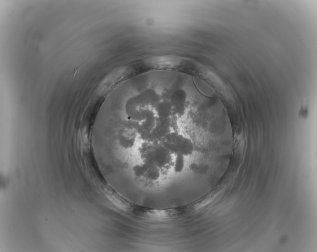 X0000094210381200711021121