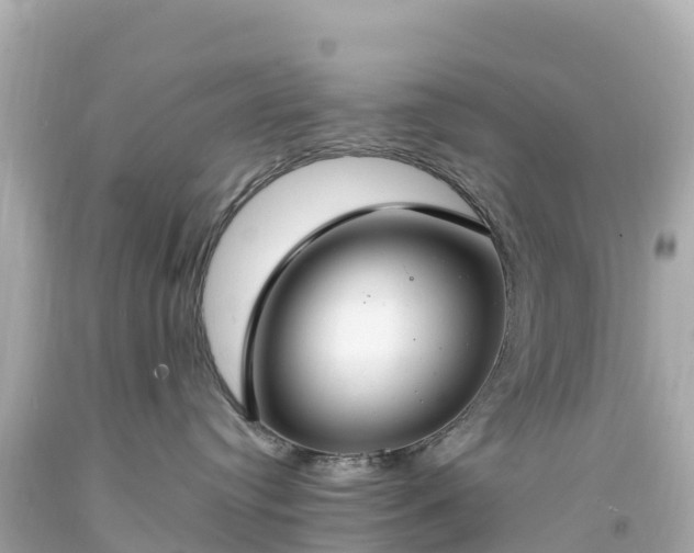 X0000094210384200711021121