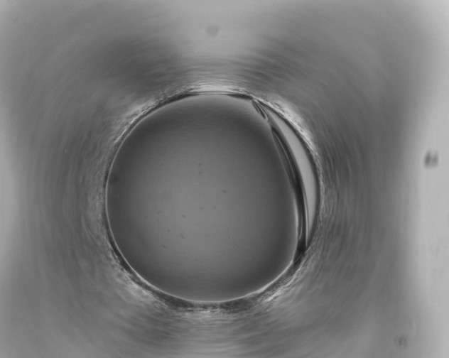 X0000094210385200711021120