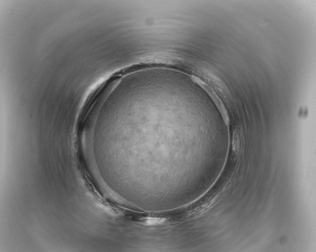 X0000094210388200711021120