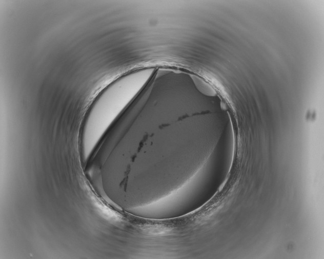X0000094210389200711021120