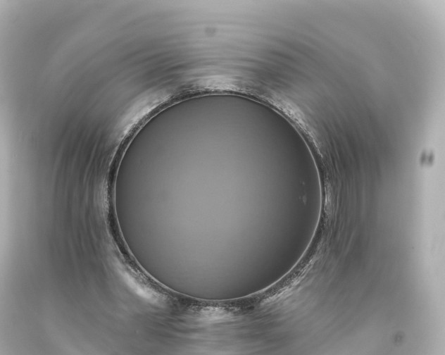 X0000094210390200711021120