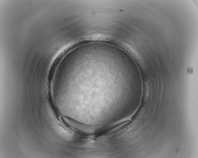 X0000094210392200711021120