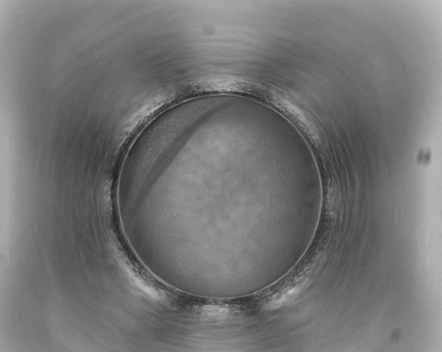 X0000094210394200711021120