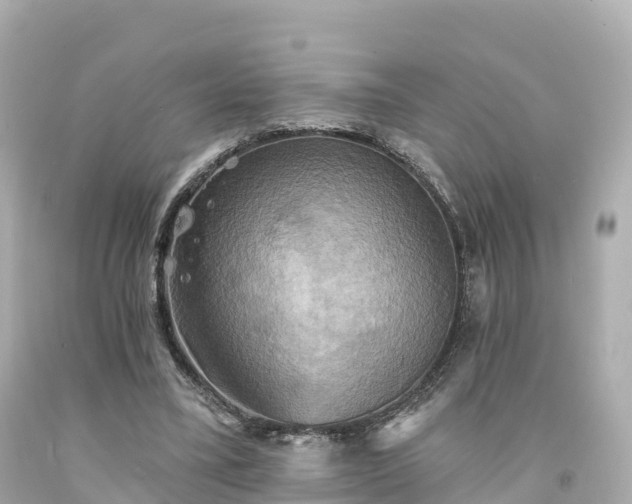 X0000094210395200711021120