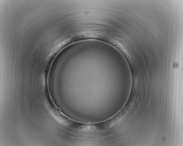X0000094210398200711021120