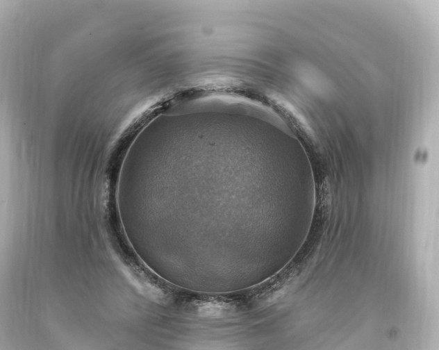 X0000094210400200711021120