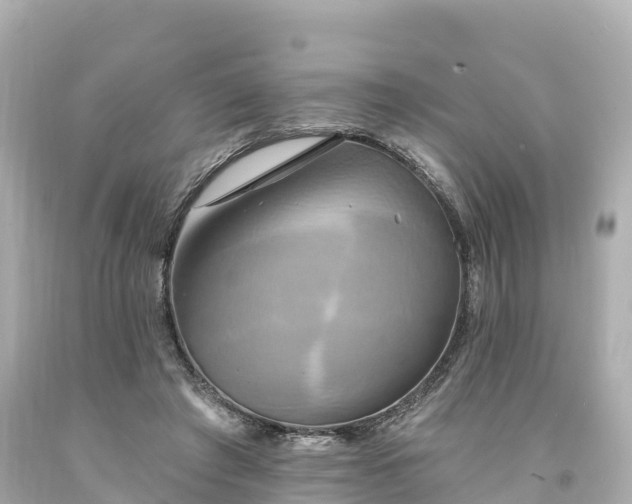 X0000094210401200711021120