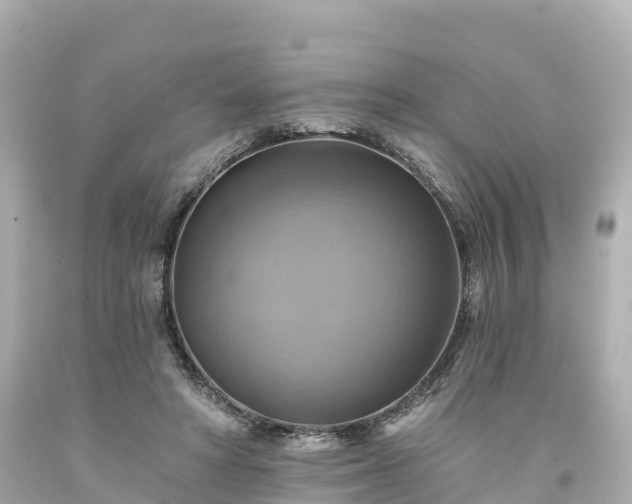 X0000094210402200711021120