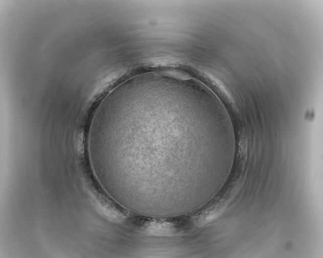 X0000094210403200711021120