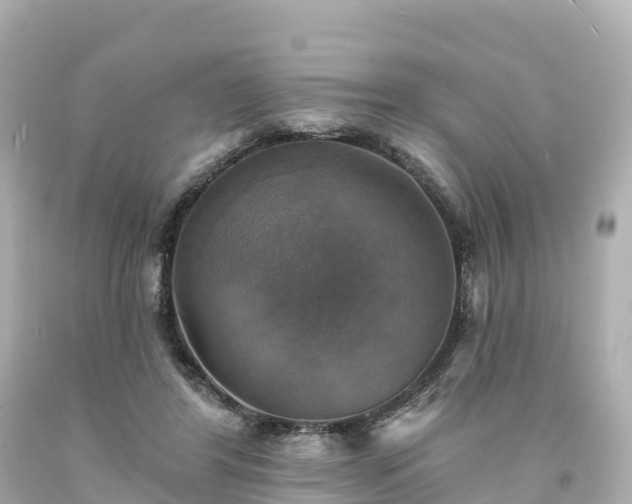 X0000094210404200711021120