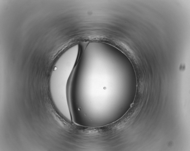X0000094210405200711021120