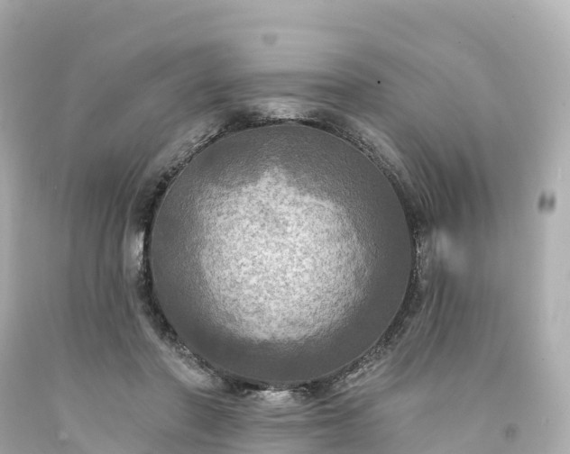 X0000094210406200711021120