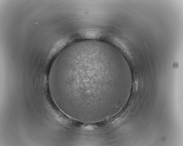 X0000094210407200711021120