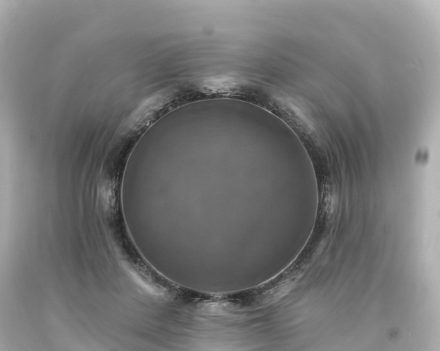 X0000094210408200711021120