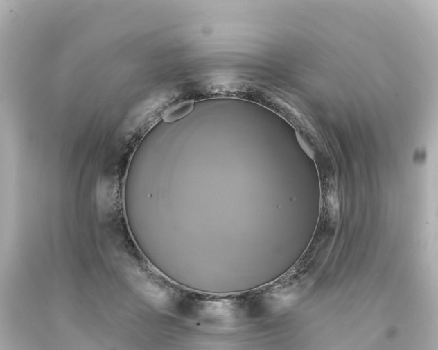 X0000094210411200711021120