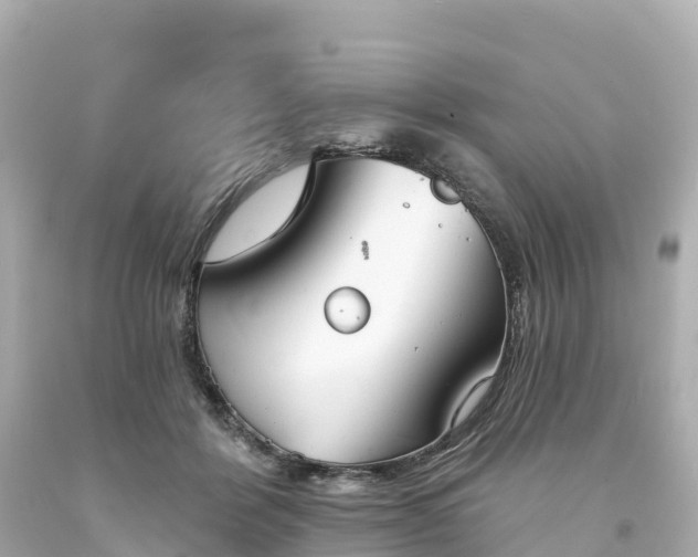 X0000094210412200711021120