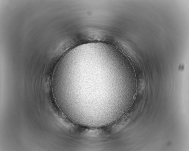 X0000094210414200711021120
