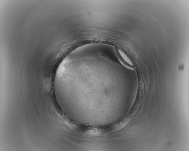 X0000094210416200711021120