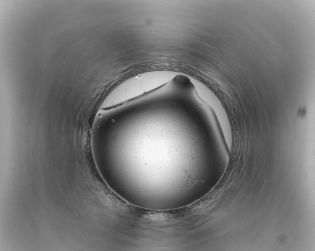 X0000094210417200711021120