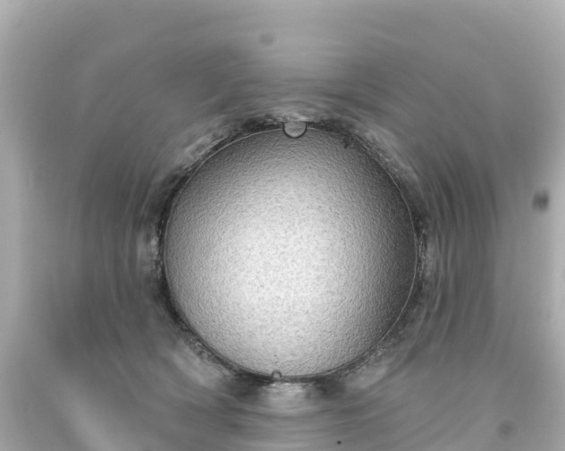 X0000094210418200711021120
