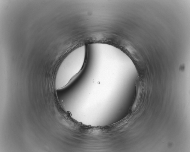 X0000094210419200711021120