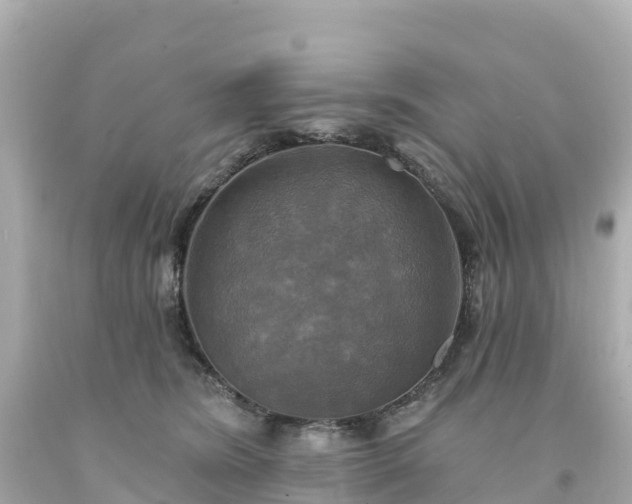 X0000094210420200711021120