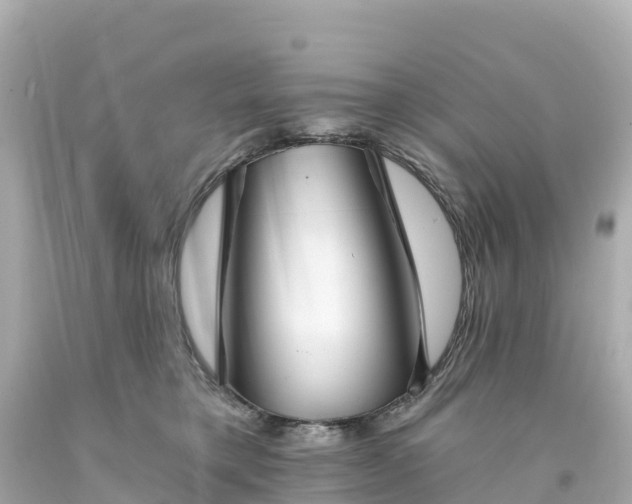 X0000094210421200711021120