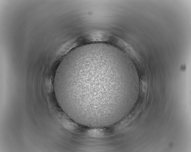 X0000094210422200711021120