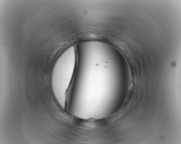 X0000094210423200711021120