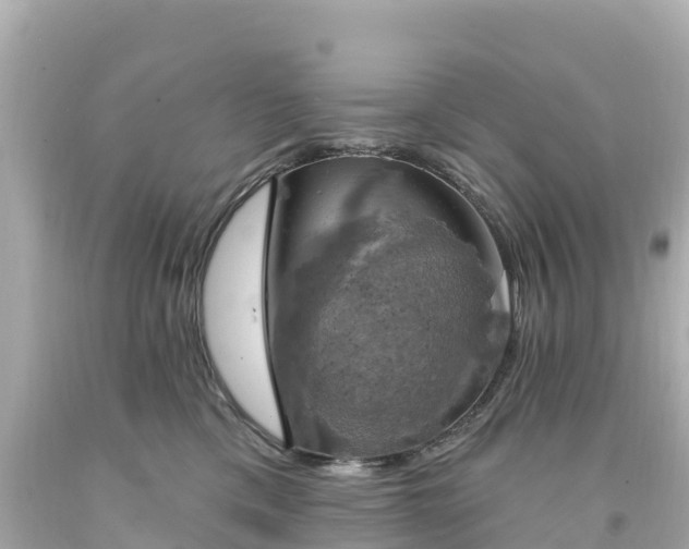 X0000094210425200711021120