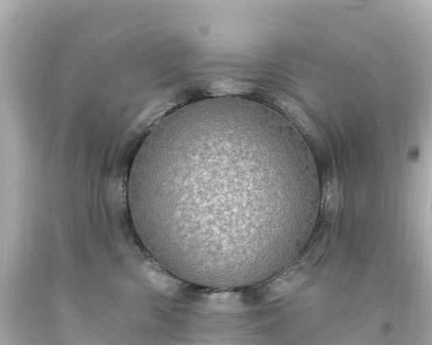 X0000094210426200711021120