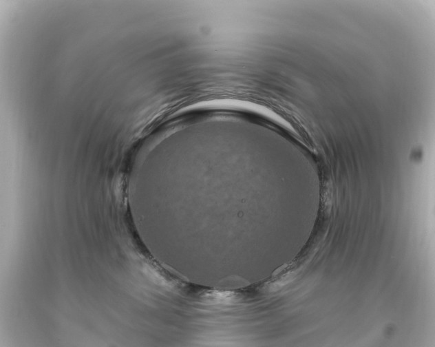 X0000094210428200711021120