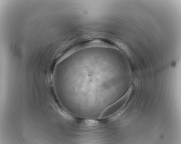 X0000094210429200711021120