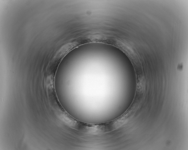 X0000094210430200711021120