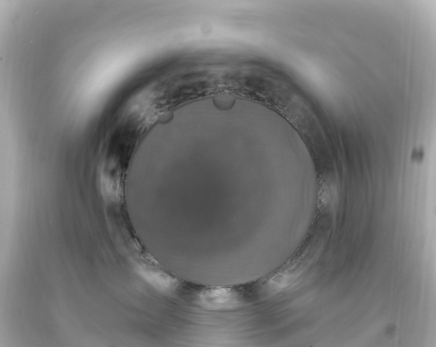 X0000094210431200711021120
