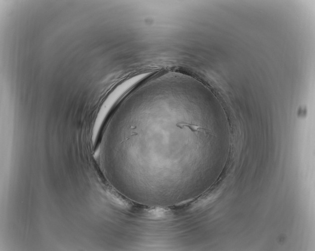 X0000094210432200711021120